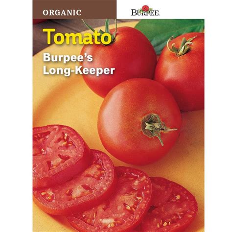 Burpee Tomato Long Keeper Organic Seed 67578 The Home Depot