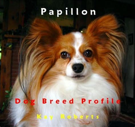 Papillon Dog Breed Profile By Kay Roberts Ebook Barnes And Noble®