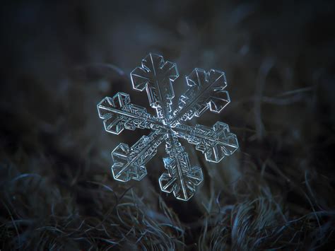 These Amazing Macro Photos Of Snowflakes Show Natures Perfect Design
