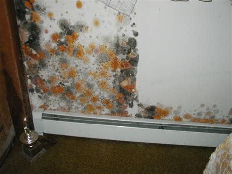 Ventilation is required to remove steam, otherwise it will condensate on hard surfaces and can linger causing dampness if you are experiencing mold in your home, our team can clear up your concerns. Microbial (Mold) Testing Services | Bluepoint ...