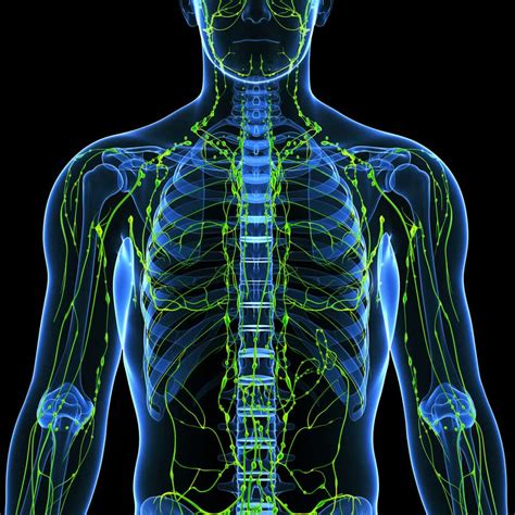 Hodgkins Lymphoma Allied Medical Training