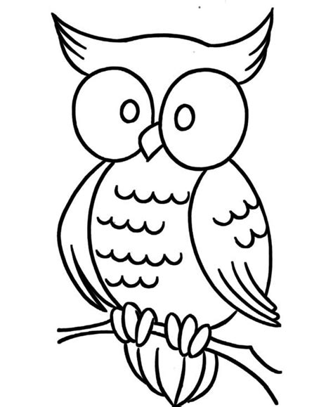Large Eye Owl Coloring Page Download And Print Online