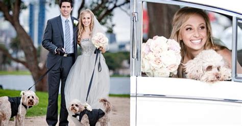 Check spelling or type a new query. Bondi vet Lisa: I couldn't marry without my boys | Woman's Day