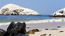 Isla Blanca: visita esta playa de ensueño en la bahía de Chimbote