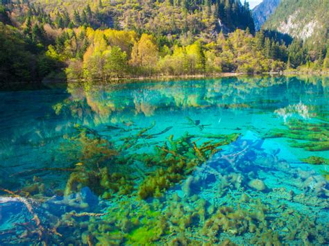 Crystalline Turquoise Lake Jiuzhaigou National Park China Wallpaper Hd