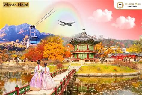 Paket Tour Korea Selatan 5 Hari 2023 Seoul Nami Island