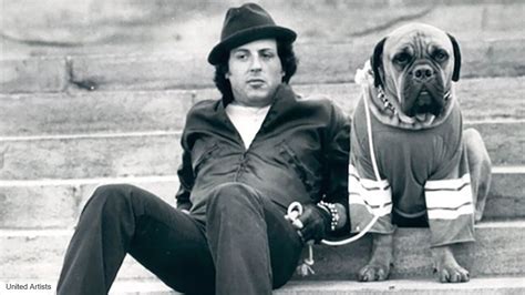 Sylvester Stallone Bought His Dog Back When Rocky Made Him Rich