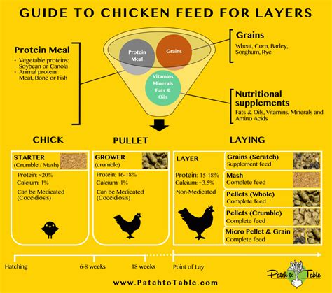 Guide To Commercial Layer Feed Overview Chicken Feed Types Of