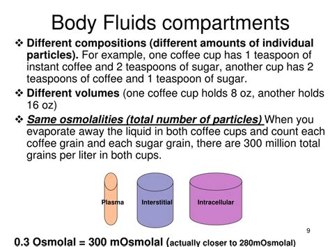 Ppt Body Fluid Compartments Powerpoint Presentation Free Download