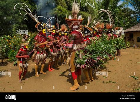 Papua New Guinea Hela Province Huli Tribe Tari Area Kobe Tumbiali Village Sing Sing