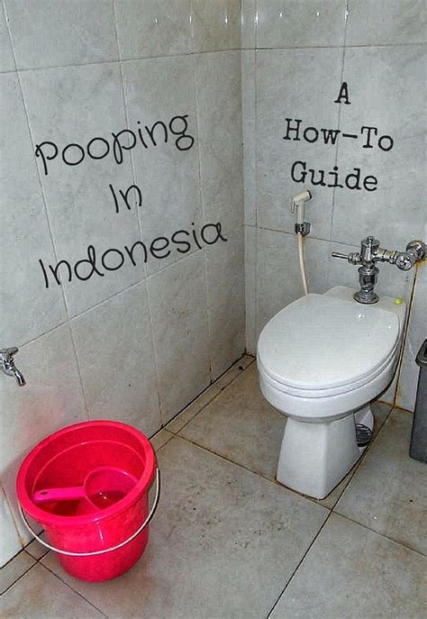 Pooping In Indonesia A How To Toilet Guide Two Fish Traveling
