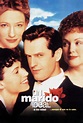 Un marido ideal (1999) Película - PLAY Cine