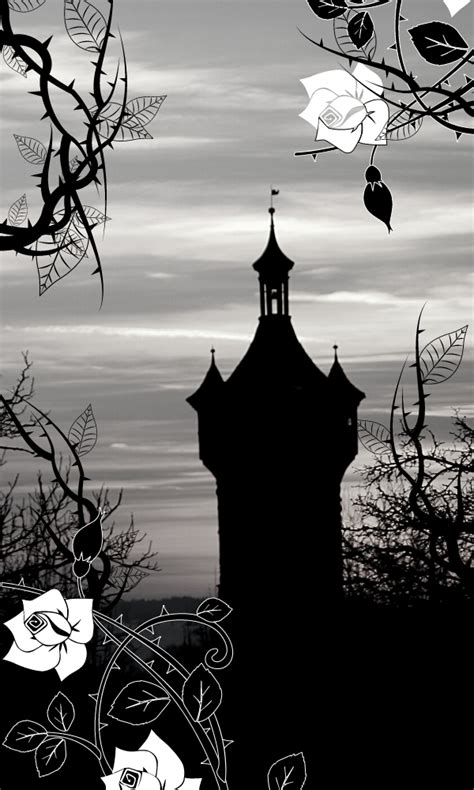 Gothic Fairy Tales The Carterhaugh School