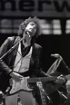 Bob Dylan World Tour 1978 - Wikipedia