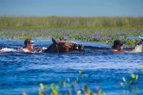 Horseback Riding And Swimming Esteros Del Iberá Corrientes Argentina