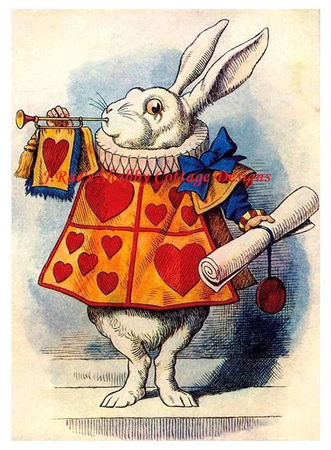 White Rabbit Alice In Wonderland Illustrations White Rabbit Alice In