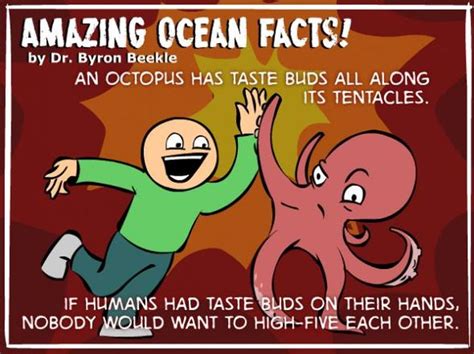Interesting Ocean Facts Others