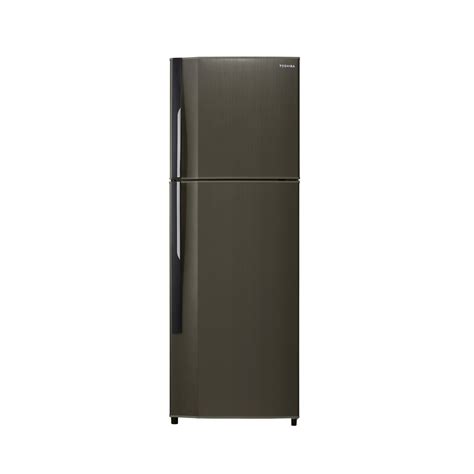 I could teach hi, sorry take planning could pump um you take the boss hey. Toshiba 2 Door Refrigerator 290L GR-S31MPB (Dark Silver ...