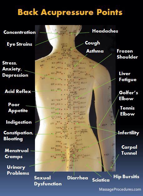 Back Acupressure Points Acupressure Treatment Massage Therapy