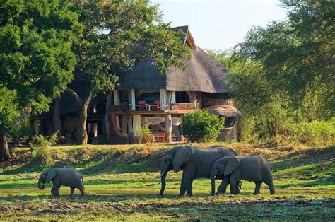Luangwa Safari House In South Luangwa National Park Zambia