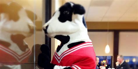 Chick-fil-A cow-suit thief nabbed in undercover Craigslist sting