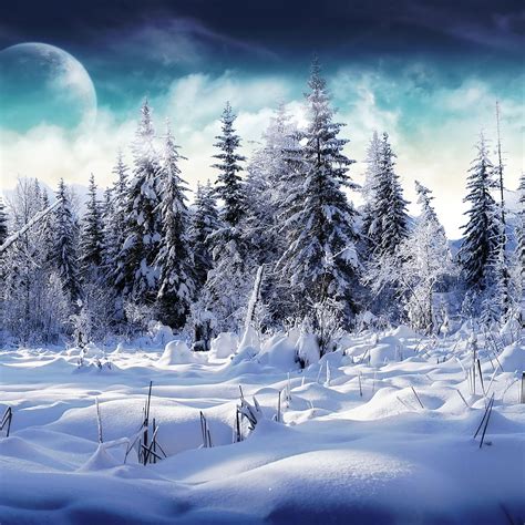 Cute Winter Snow Wallpapers Top Free Cute Winter Snow Backgrounds