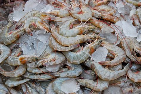 Raw Fresh Shrimp In Market Stock Photo Zmkstudio 4799099