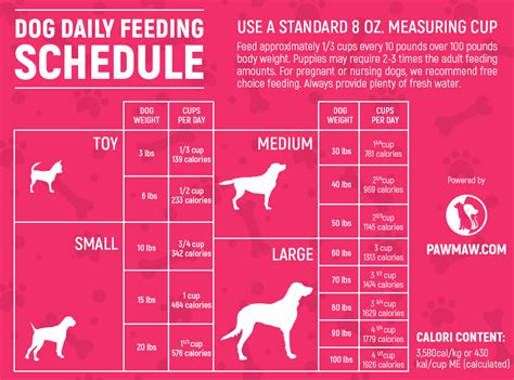 This can be split into at least 2 and preferably 3 meals per day. Pin on New Dog OWNER Tips | first time dog owner advice