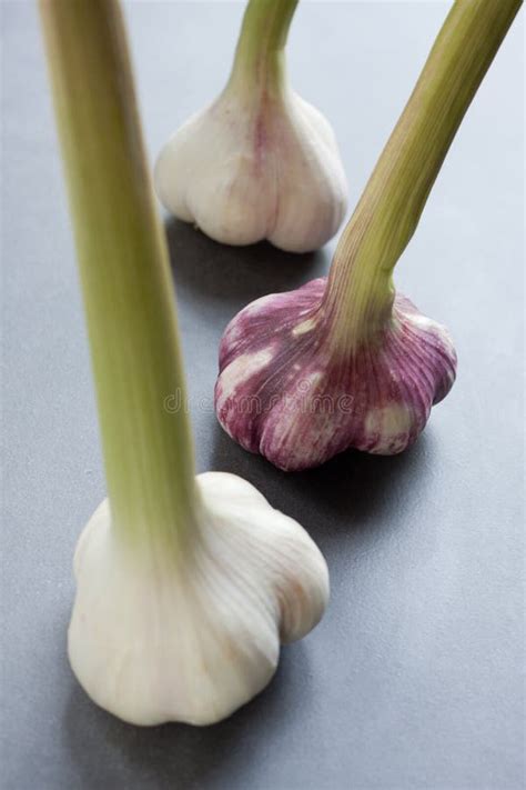 Garlic Stock Photo Image Of Color Life Objects Shot 27812148