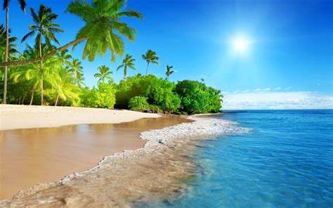 Hawaiian Beach Trees Palm Coast Ocean Waves Sandy Beach Tropical Sun