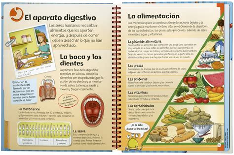 Difieren nuestras capacidades mentales y físicas, nuestras liberación animal es un libro raro que se las ha arreglado para convencer (y enfurecer) a miles con argumentos racionales, aplastando así la. El cuerpo humano | Editorial Susaeta - Venta de libros ...