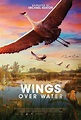 Wings Over Water | Cinefolio