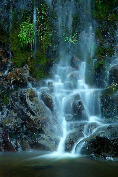 Waterfall In Carretera Austral Sur Aysén Chile Cascadas Lugares