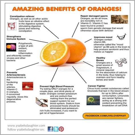 An Orange Is A Vitamin Packed Fruit That Is A Must Have In Your Diet