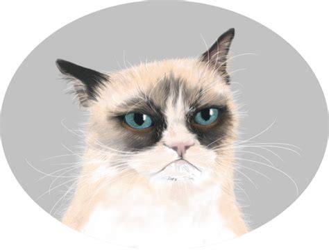 Tard The Grumpy Cat By Erizoinfernal On Deviantart