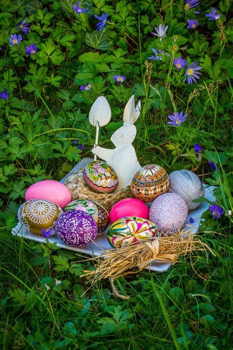 Various Painted Beautiful Easter Eggs Stock Photo 09 Free
