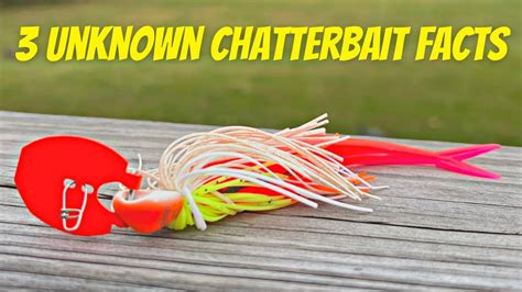 3 Unknown Facts About Chatterbait Fishing Youtube
