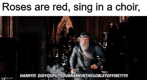 Dumbledore Asked Calmly Imgflip