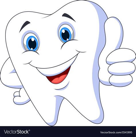 cute cartoon tooth with thumb up royalty free vector image