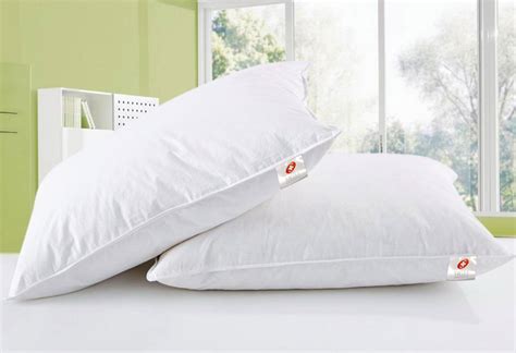 Swiss Comforts Pillow