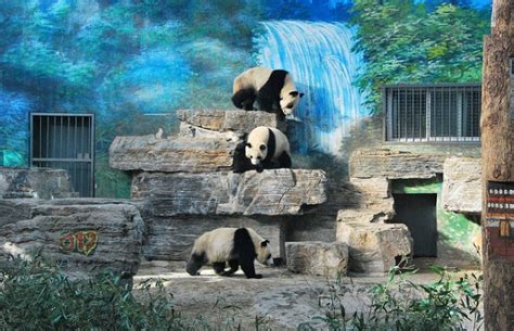 Worlds Largest Zoos 8 Photos Klykercom