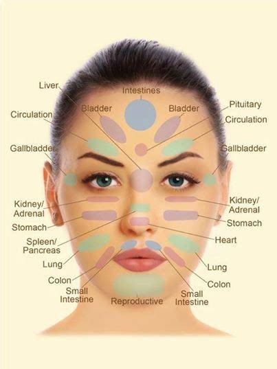 Facial Reflexology Chart Massage Reflexology Accupuncture