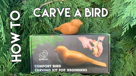 Beavercraft Wood Carving Kit Comfort Bird Diy Complete Starter