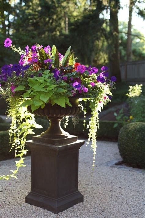 Black Urns Are A Must In Our Garden Marking Pathways Container