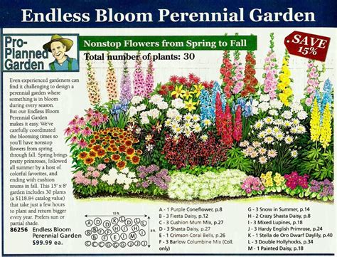 Colorado Perennial Garden Layout Perennial Garden Layout Planner Best