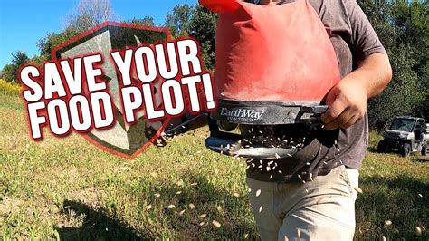 Last Minute Tips To Save Your Food Plot Youtube