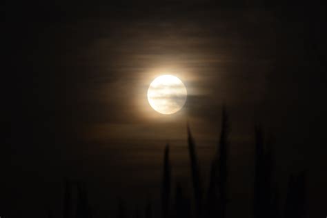 Free Images Light Atmosphere Darkness Lighting Full Moon