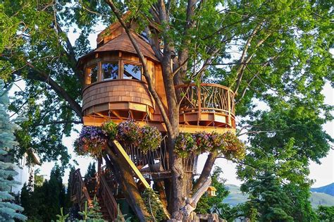 Amazing Treehouses Youll Want To Call Home