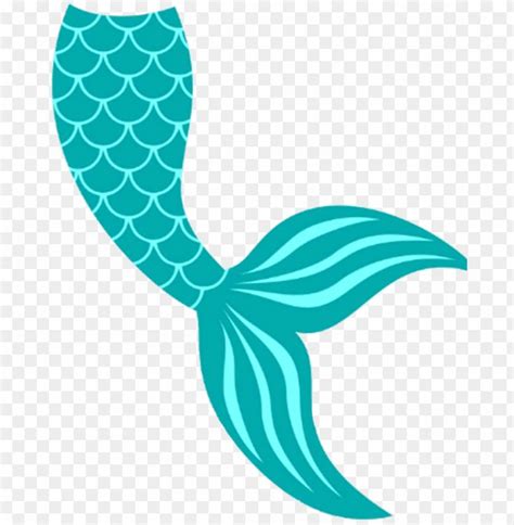 Mermaidtail Fishtail Tail Mermaid Siren Sirena Sirene Mermaid Tail Sv