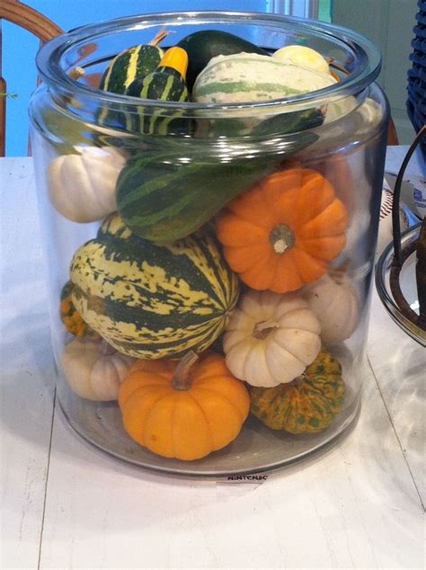 15 Amazing Ways To Use Decorative Gourds This Fall Garden And Happy
